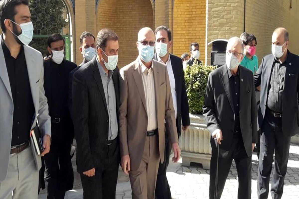 محمدعلی زلفی گل