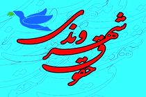 در بحثحقوق شهروندی، فرهنگ مهمتر است / ضرورت فعال ترشدن سمن ها