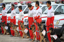 اعزام تیم های ارزیاب جمعیت هلال احمر به اماکن وقوع زلزله