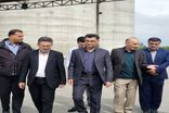 فرماندار نکا از زنجیره تولید آرد در کارخانه‌های شهرستان بازدید کرد