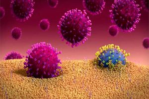 آمار کرونای اردستان در ۲۴ ساعت گذشته