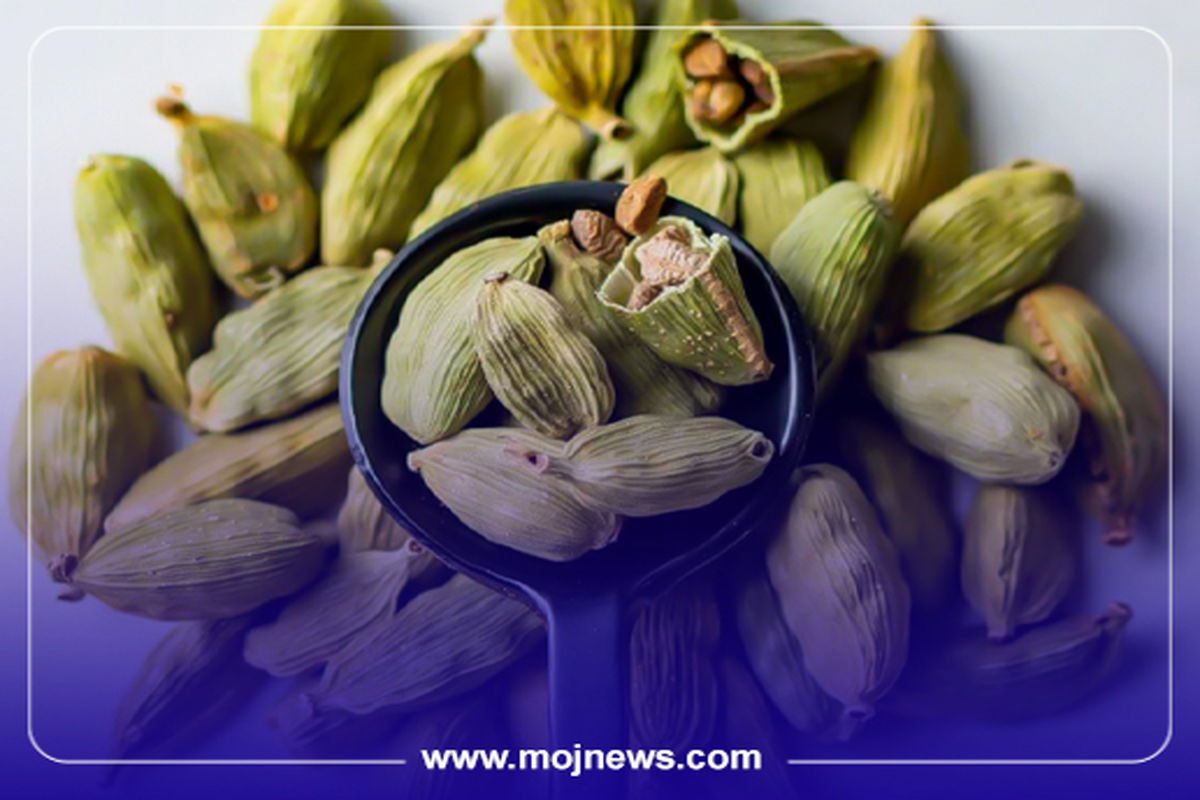 کاور خواص هل موج