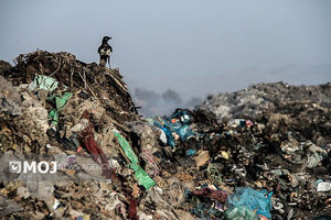 ضرب‌الاجل ۱۰ روزه دادستان سرخرود برای توقف زباله‌سوزی غیرقانونی در روستای حاجی‌کلا