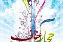 بانوان نخبه و بسیجی روانسر با امام جمعه شهرستان دیدار کردند