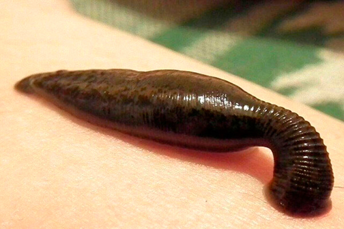 BC60A2C2-AB75-4979-9826-AF286E06EEF4