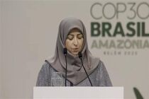 ایران با وجود تحریم‌ها به تعهدات اقلیمی خود پایبند است