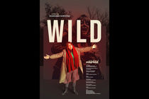 ۳ حضور جهانی برای سینمای ایران