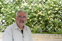 جشنواره هنرهای تجسمی جوانان خسته است/جشنواره بی دردسر خوب نیست