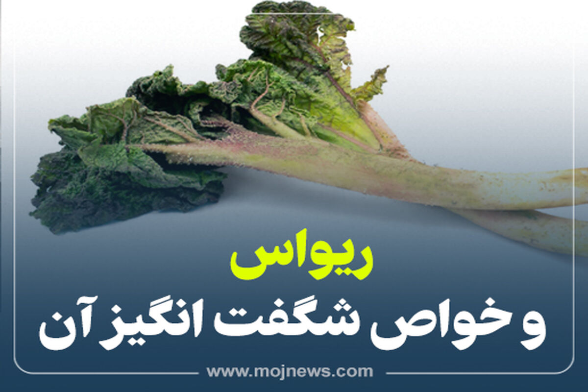 کاور ریواس 4512