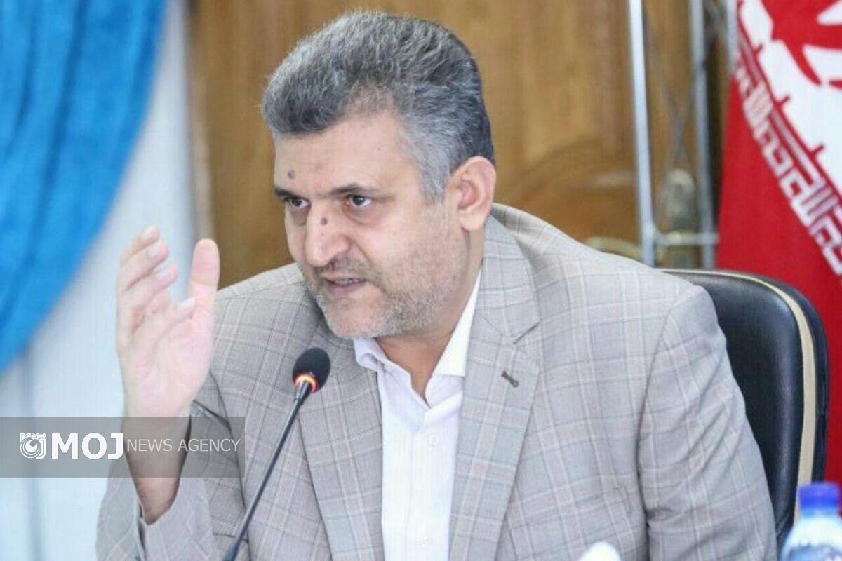 قاسم ولی زاده