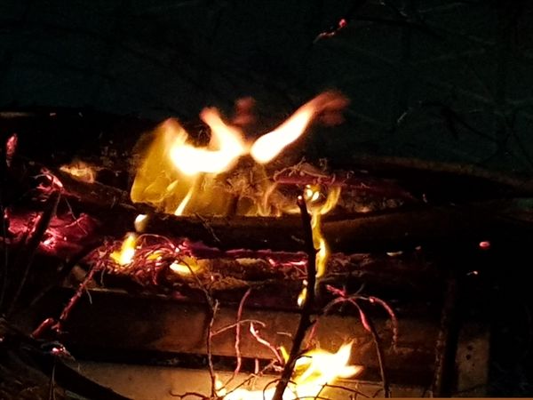 برگزاری آیین چهارشنبهسوری در بندرعباس