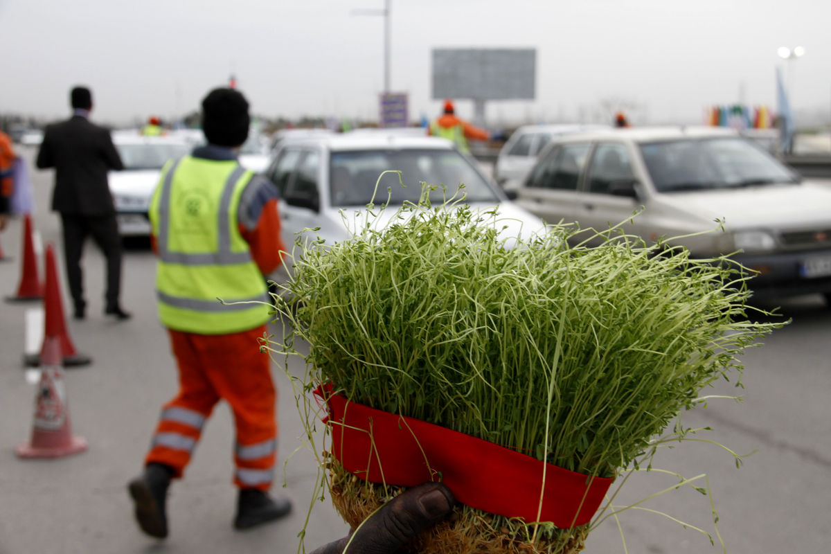 اجرای طرح از سبزه تا کمپوست