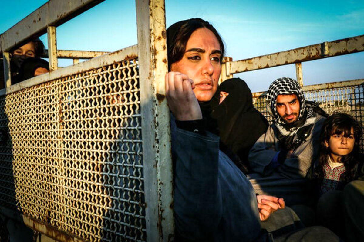 فیلم کوتاه عروسک