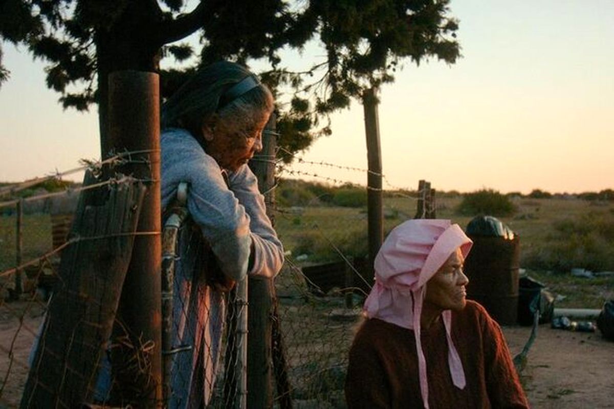 جشنواره بین‌المللی فیلم روتردام