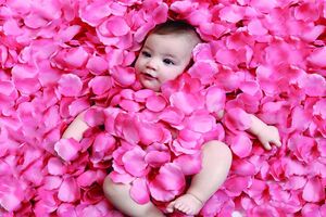 آیین ملی گل‌غلتان در خانه تاریخی آل یاسین کاشان برگزار شد