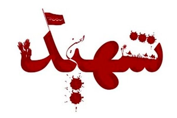 یکی از مدافعان وطن  پایگاه دریابانی گناوه به شهادت رسید