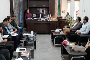 طرح جمع‌آوری سلاح و مهمات غیرمجاز با قاطعیت در استان اجرا می‌شود