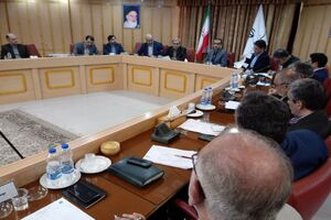 485 تن گوشت منجمد و گرم در گیلان توزیع شده است