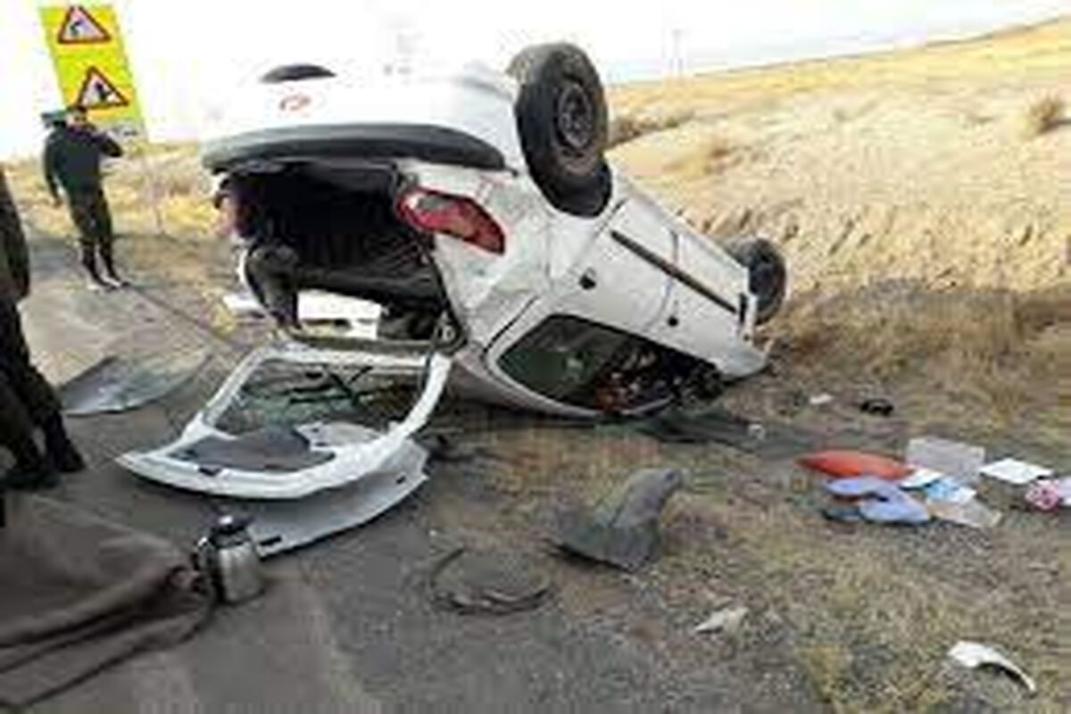 واژگونی 206