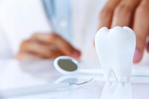 ارائه خدمات رایگان دندانپزشکی به مددجویان مجتمع کاردرمانی فارس