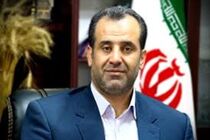 خریداری 100 هزار تن گندم از کشاورزان مازندرانی در سال جاری