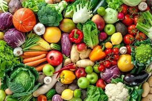 صادرات محصولات باغی مازندران از ۵۳ هزار تن گذشت