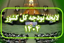 مجلس برای بررسی لایحه بودجه ۱۴۰۴، سه شیفته شد + فیلم
