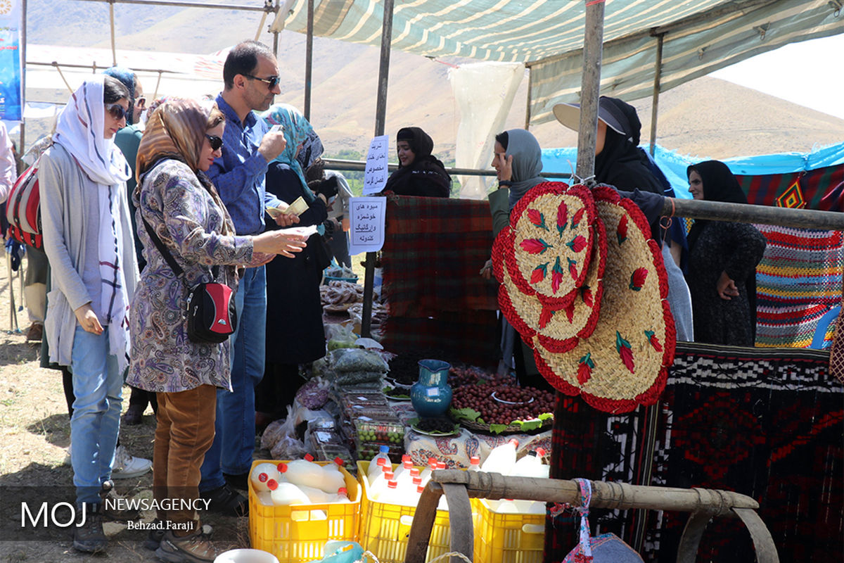 اشتغال پایدار روستایی