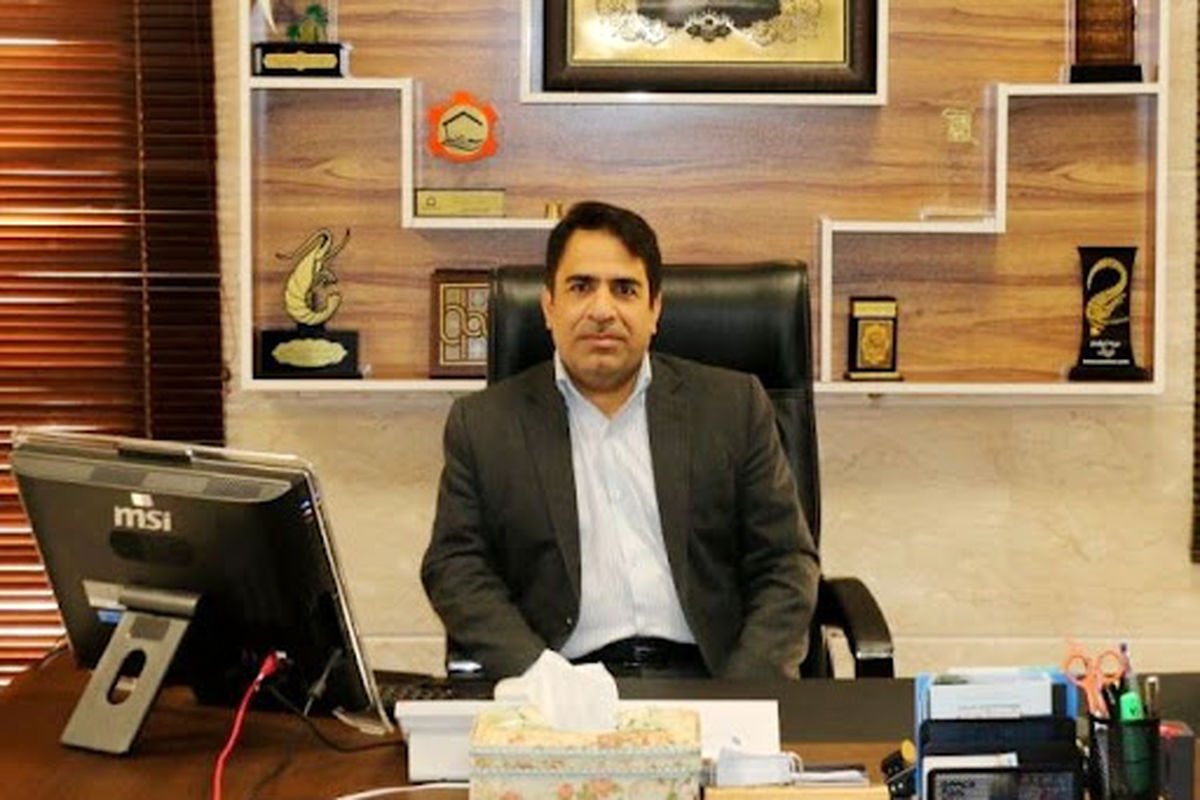 شیلات