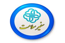 فعالیت بیش از ۱۸۰ هزار سفیر سلامت در مدارس فارس