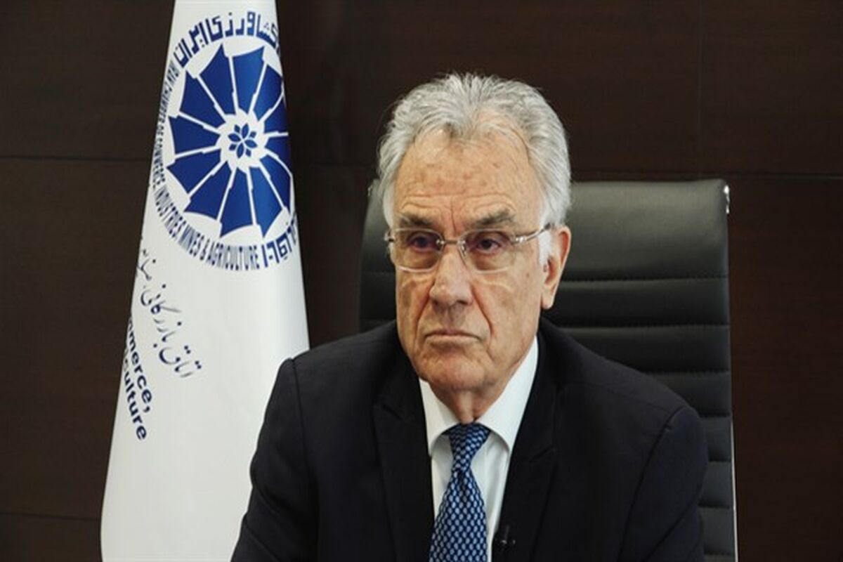 محمدرضا انصاری