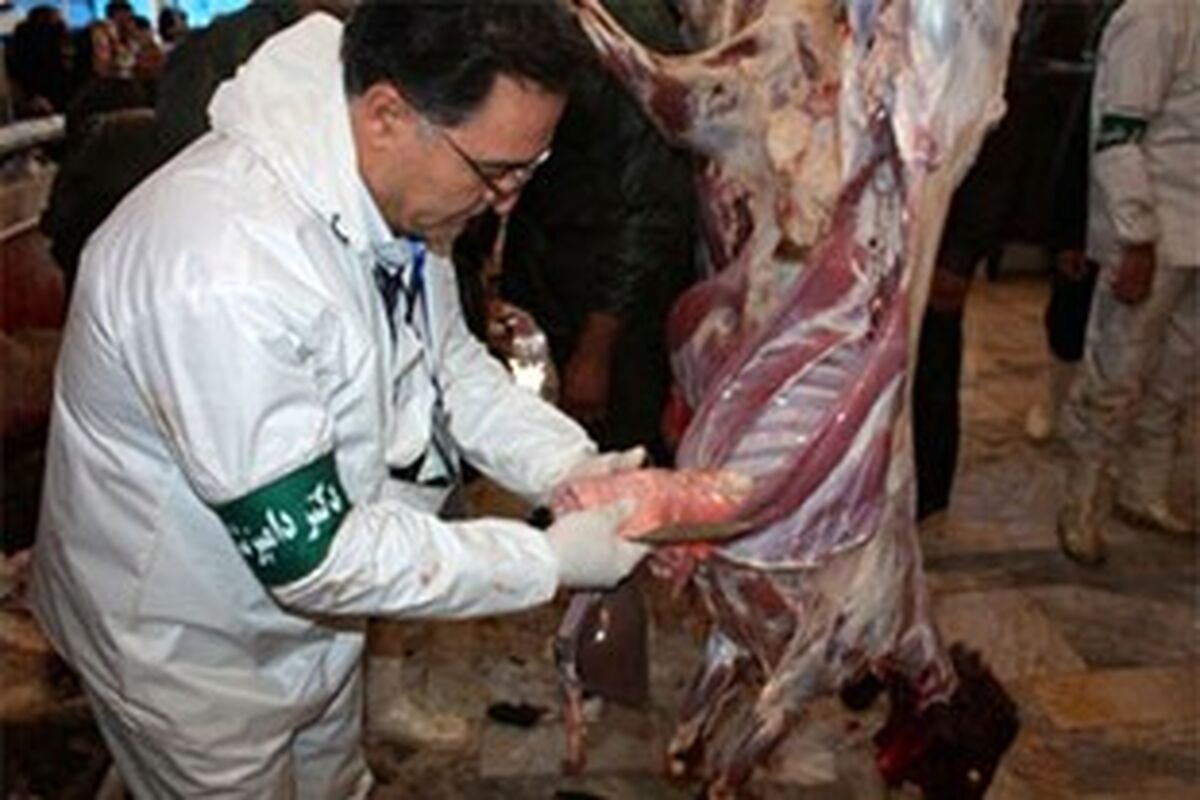دامپزشکی