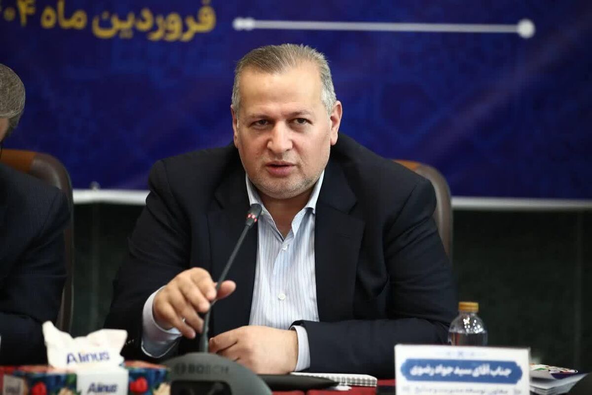 معاون توسعه مدیریت و منابع وزارت تعاون، کار و رفاه اجتماعی