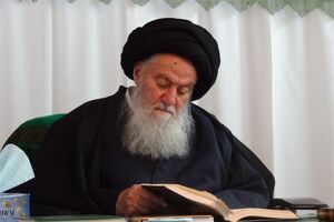 جزئیات تشییع پیکر مرحوم آیت‌ الله حسینی شاهرودی