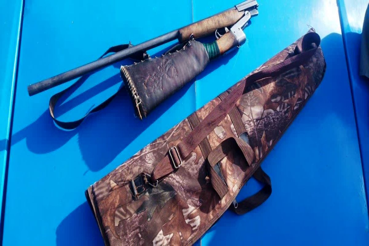 کشف اسلحه شکاری