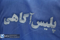 نجات دختر سه‌ساله از چنگ کودک‌ربا