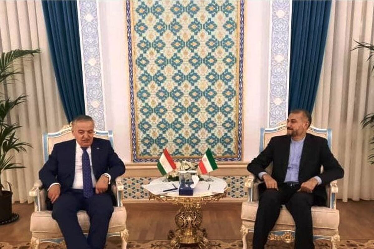 سراج الدین مهرالدین+امیرعبداللهیان