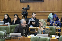 داشتن باغچه خانگی دلیل بر باغ بودن نیست/اعضا نمی توانند درباره باغات زراعی تصمیم بگیرند