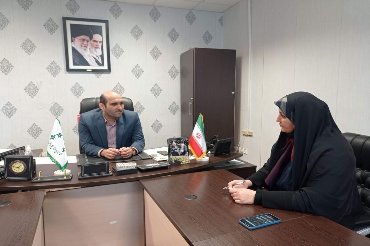کار فرهنگی 