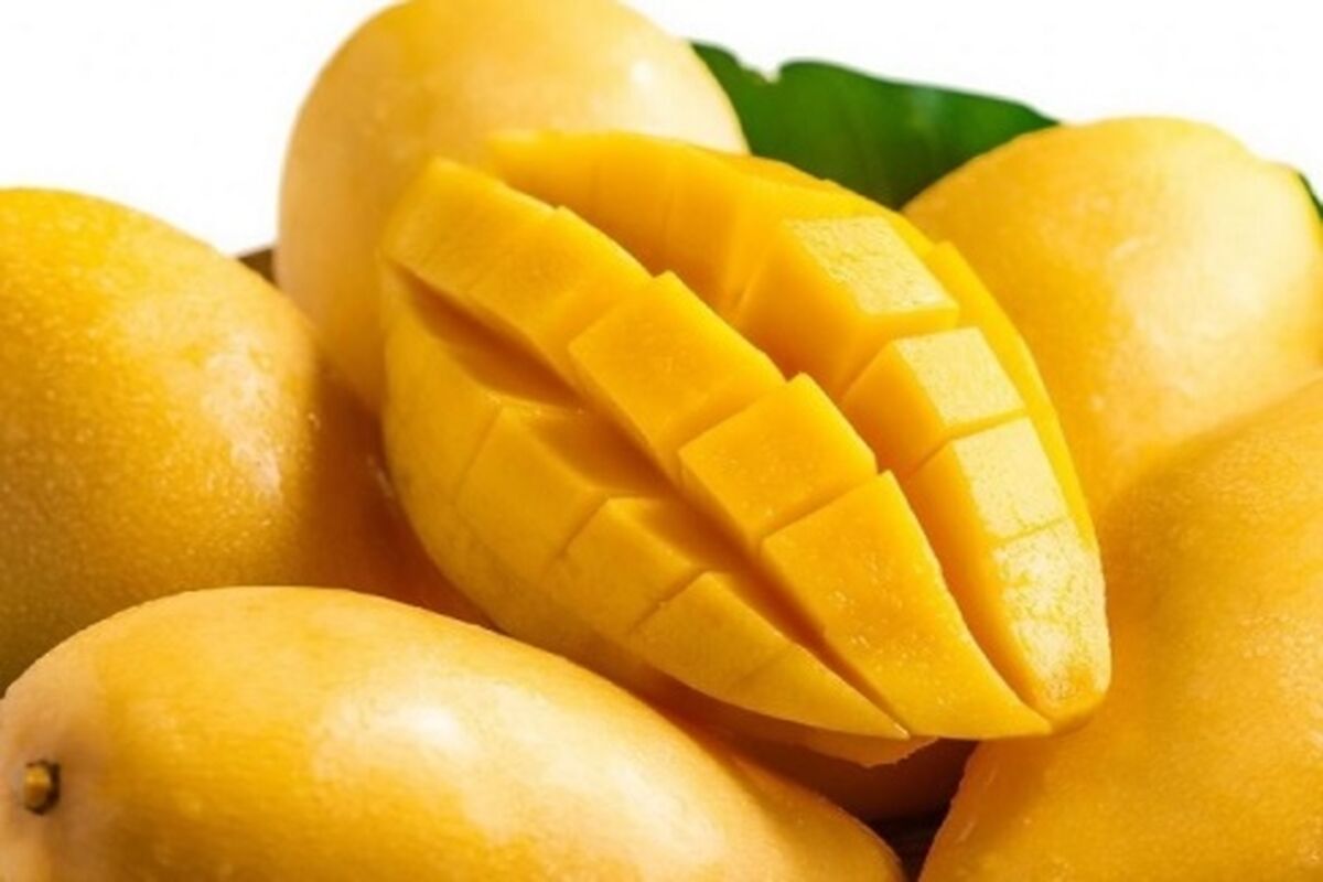 انبه قاچاق