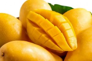 چراغ سبز دولت به واردات انبه از کنیا