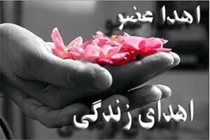 اهدای اعضای کودک 6 ساله برخواری به 3 بیمار نیازمند