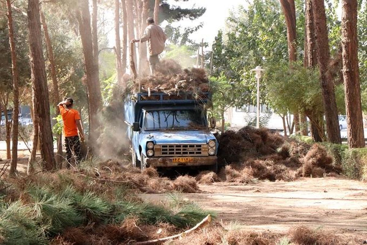 بوستان دانشجو یزد