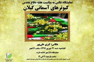 نمایشگاه عکس با عنوان «کبوترهای آسمانی گیلان» در لاهیجان 