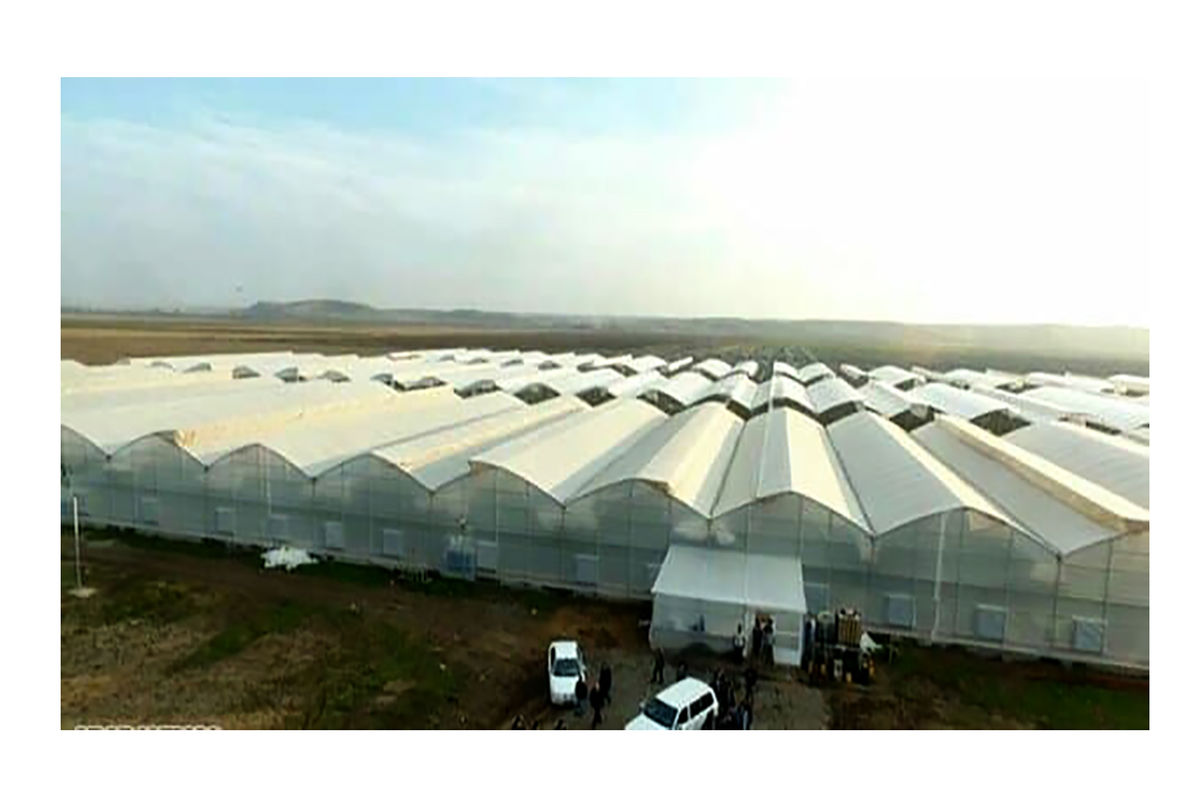  شهرک گلخانه‌ای  شهر کاشمر