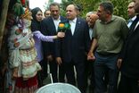 وزیر جهاد کشاورزی از سهم 70 درصدی عشایر و روستاییان در تولید محصولات کشاورزی خبر داد