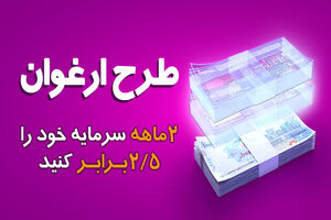 چگونه ۲ ماه سرمایه خود را ۲.۵ برابر کنیم؟ | آیا وام ارغوان بانک سینا برای مستاجران جذاب است؟