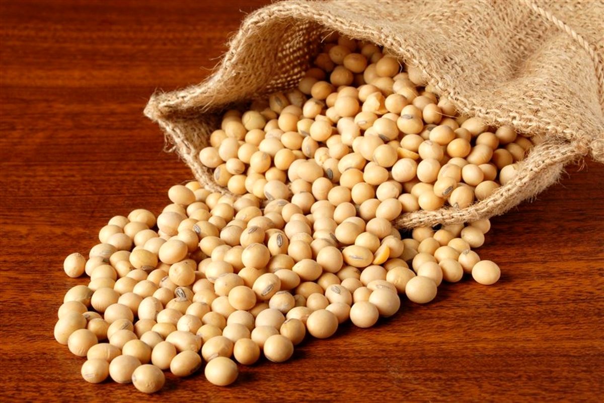 وارد کننده غذای دام ایران