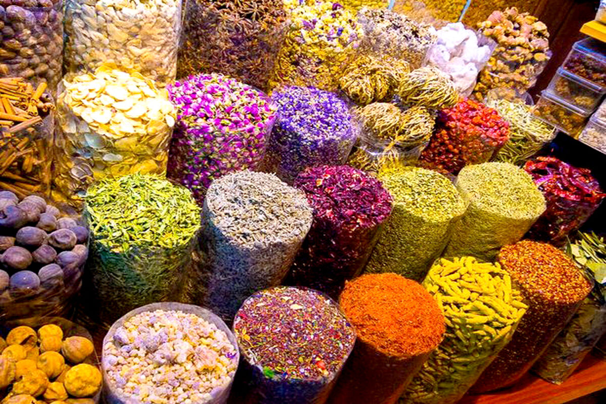 تولید گیاهان دارویی در خراسان رضوی