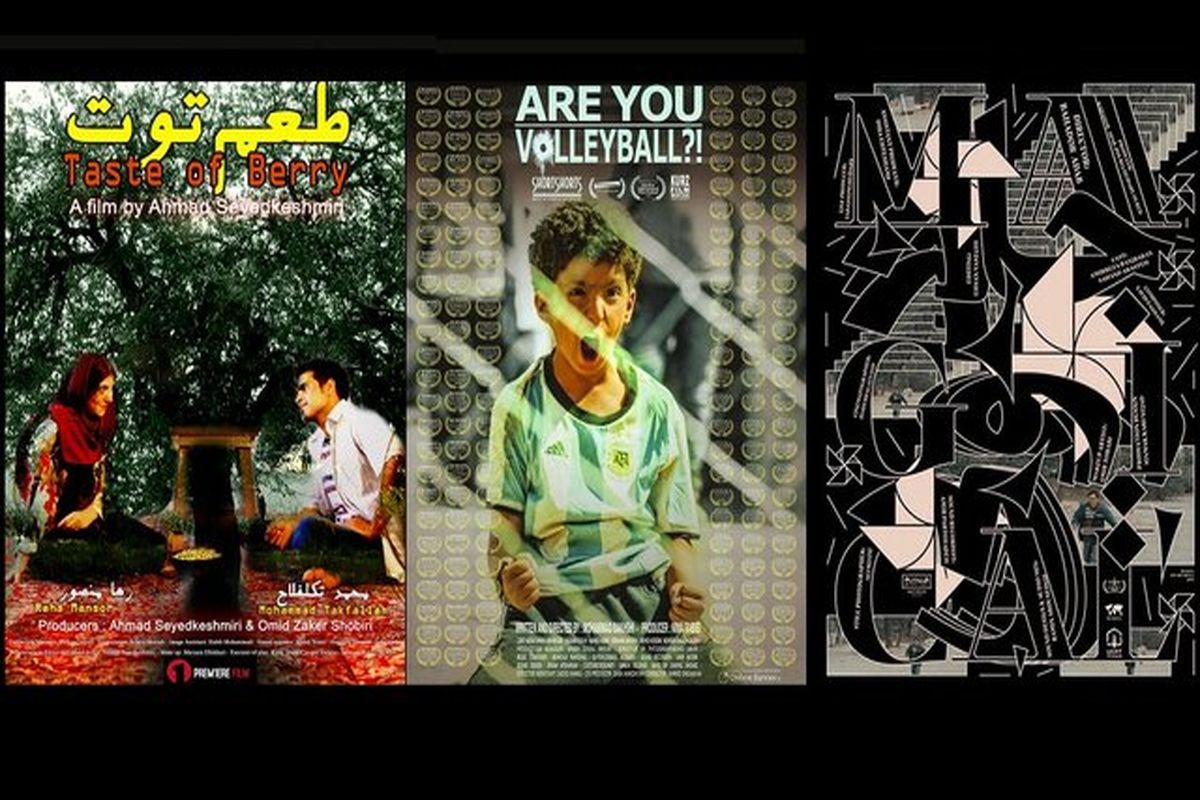 جشنواره بین‌المللی فیلم کوتاه پاپ کورن ایتالیا